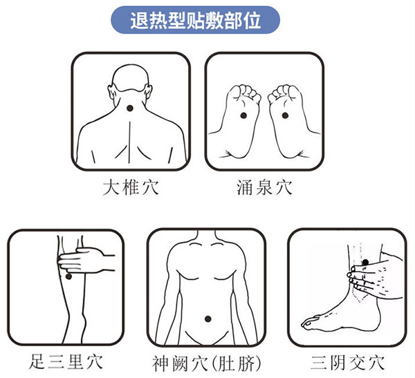 退熱凝膠涂抹位置圖